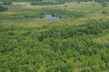 Property photo 15 - 1,025 Acres in 24 Tracts - Exellent Recreation Opportunity - Potential Building Sites - 11 Lakes & Ponds